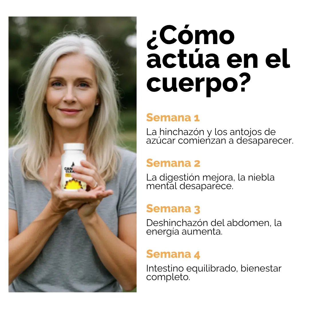 Candida Cleanse – Detox Natural para Tu Sistema Digestivo | Pure Peak